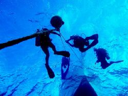 Divers Descending - Oahu, HI. by Dallas Poore 